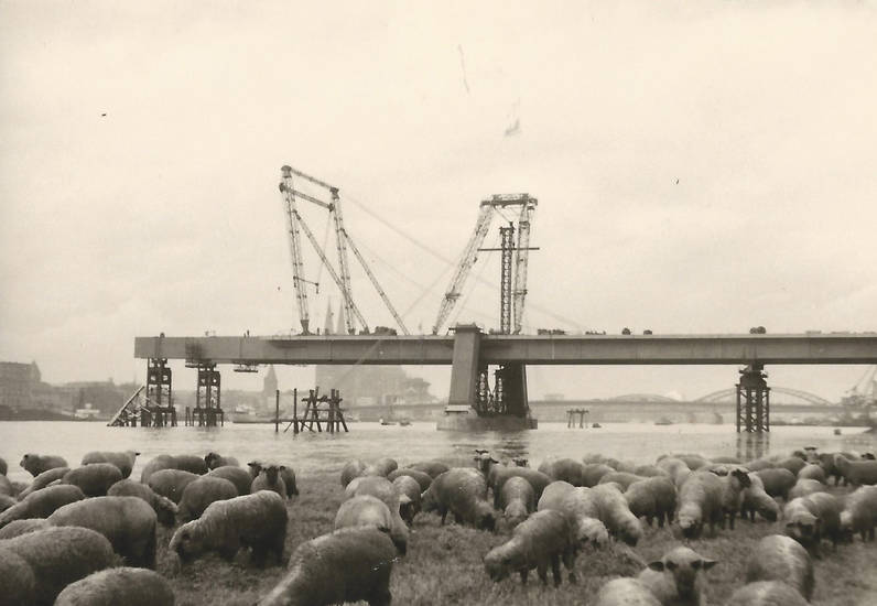 Bau der Severinsbrücke WDR Digit