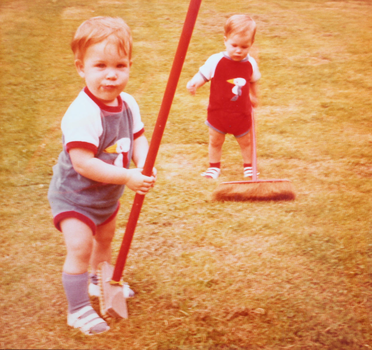 Rasenfeger - WDR Digit