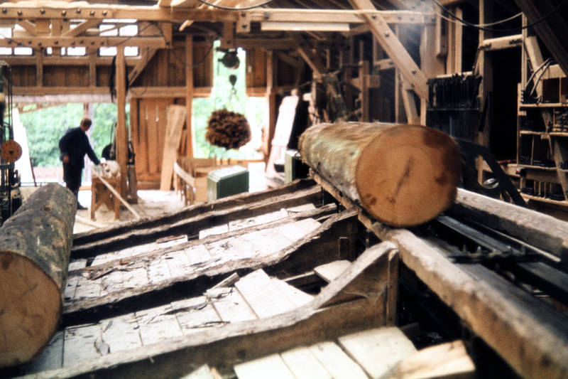 Sägewerk. - WDR Digit