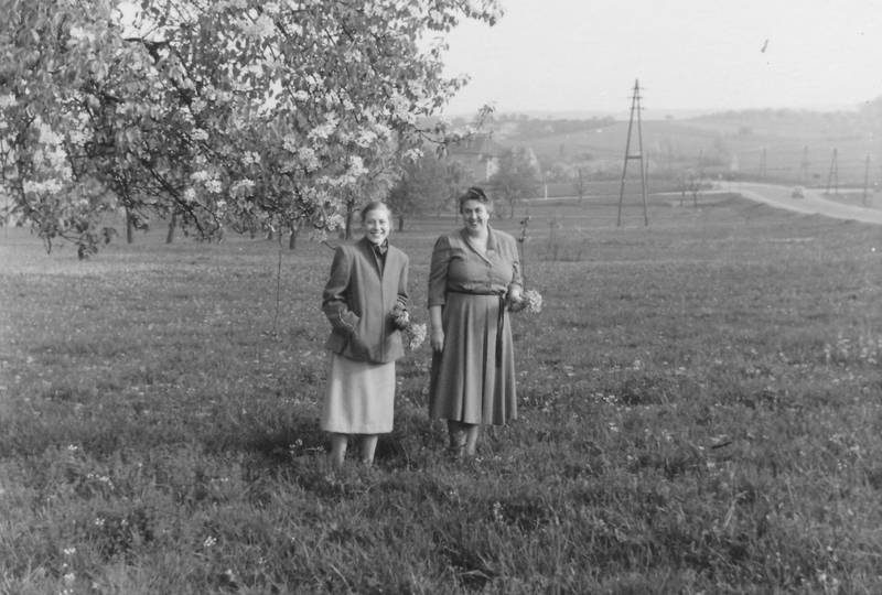 Blumen pflücken WDR Digit