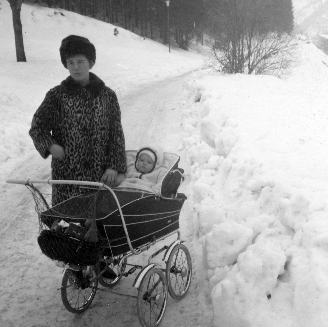 Im Schnee - WDR Digit
