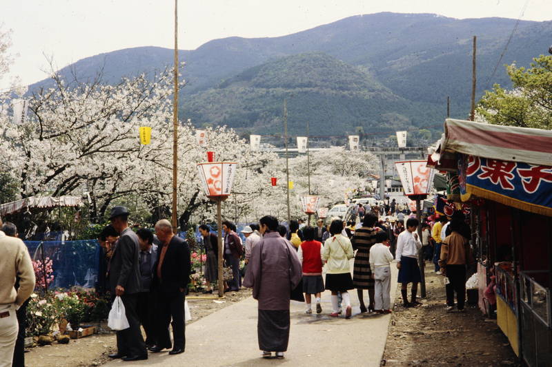  Kirschblütenfest - WDR Digit Illustration 