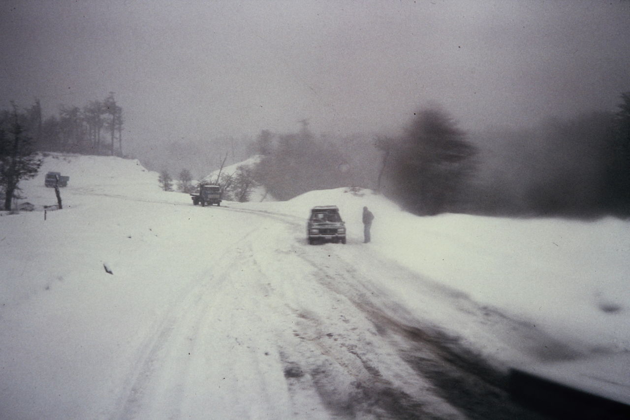 D027.JPG