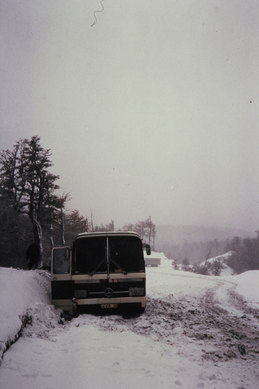 D028.JPG