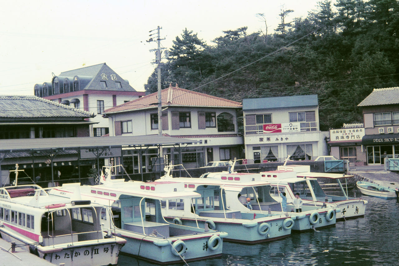 B003.JPG