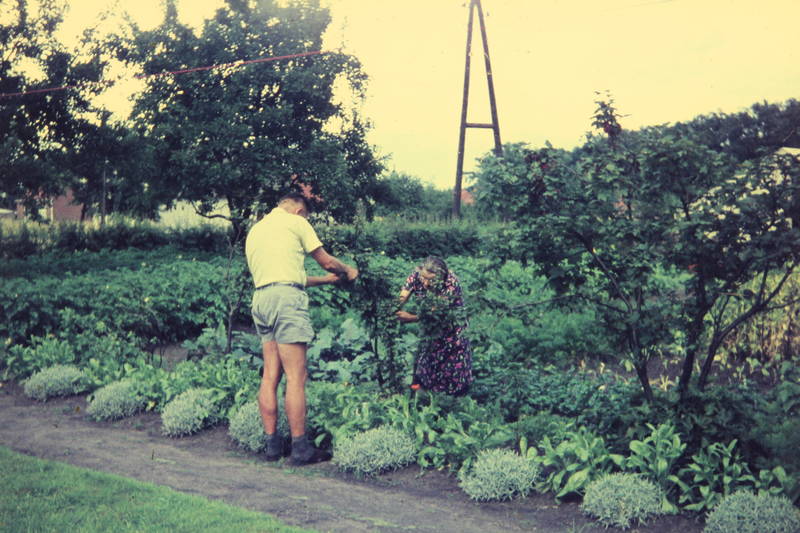 Gartenarbeit WDR Digit