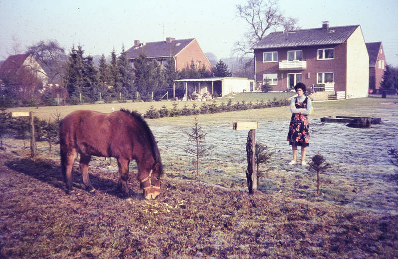Pferdekoppel WDR Digit