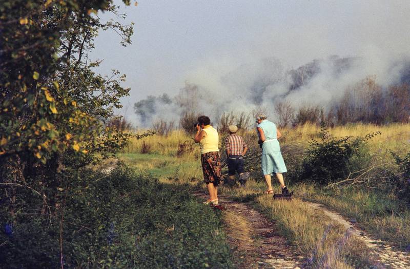 Feuer im Wald - WDR Digit