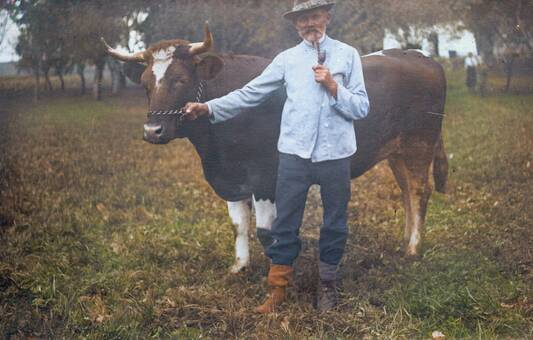 voltigiermannschaft Suche - WDR Digit